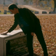 Daniel visits Mr. Miyagi’s grave in Cobra Kai